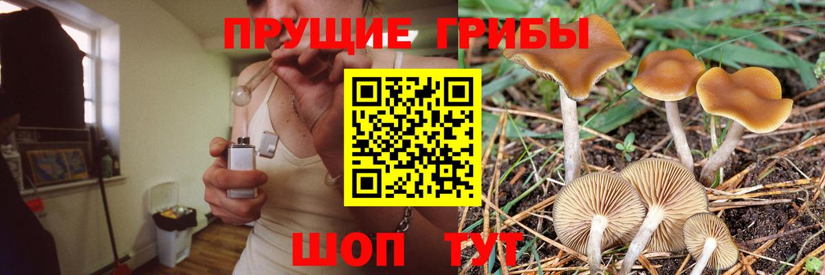 Галлюциногенные грибы Psilocybe  Галлюциногенные грибы Cubensis  Звенигород  Вход с VPN 